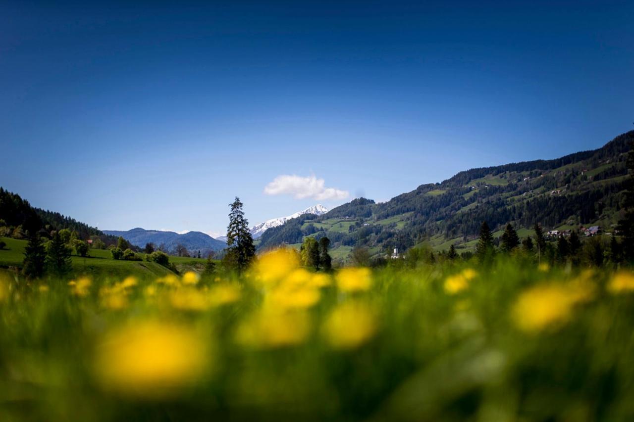 Gartenloft An Der Mur Murau Exterior photo